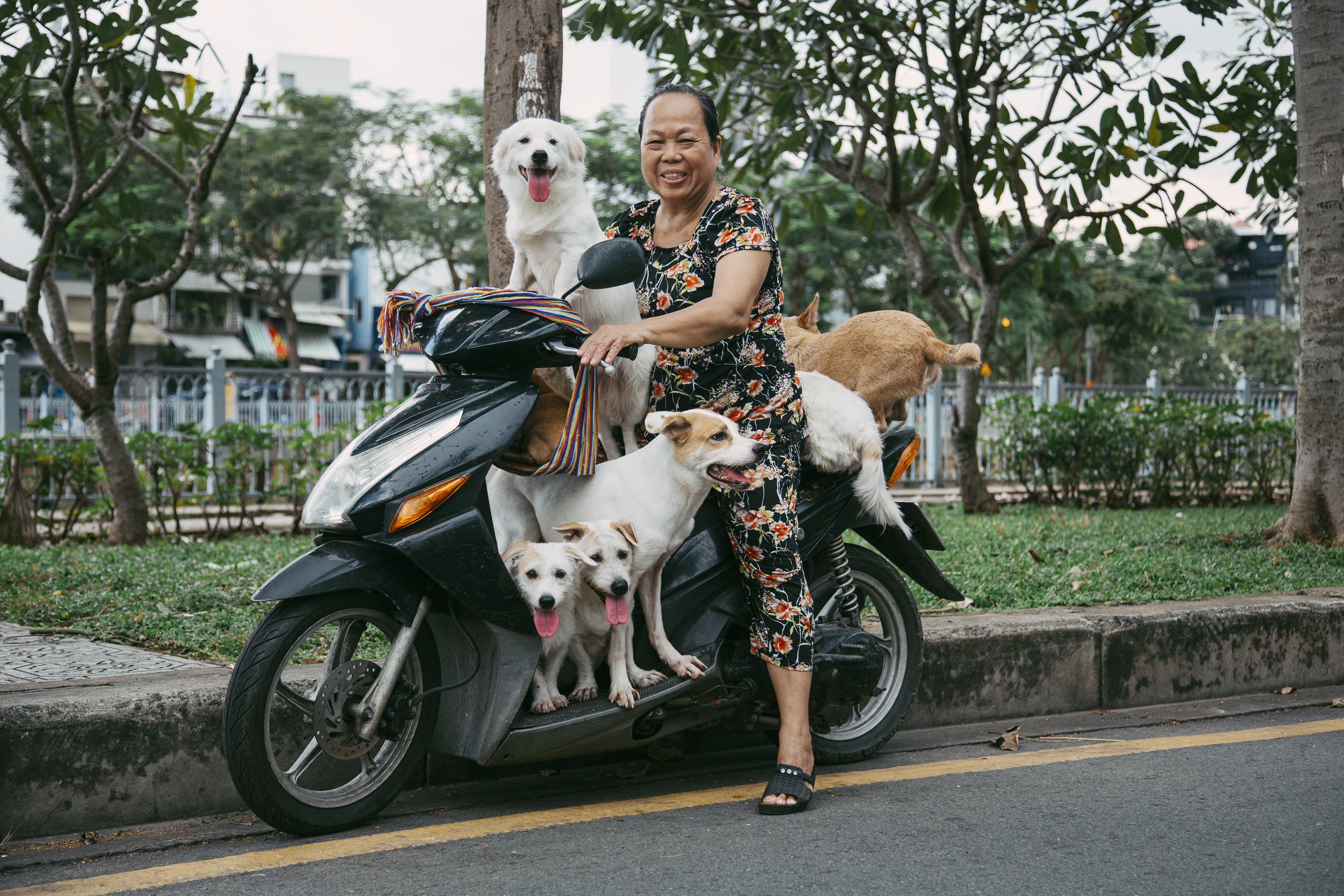 Cụ bà 65 tuổi nuôi 6 chú chó cưng
