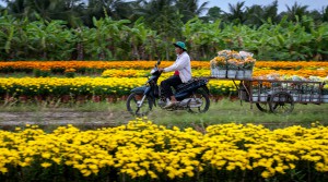 Mùa xuân lại về