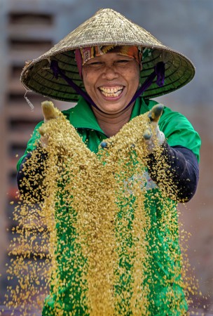 Nghề làm tương Bần - đặc sản xứ Hưng Yên