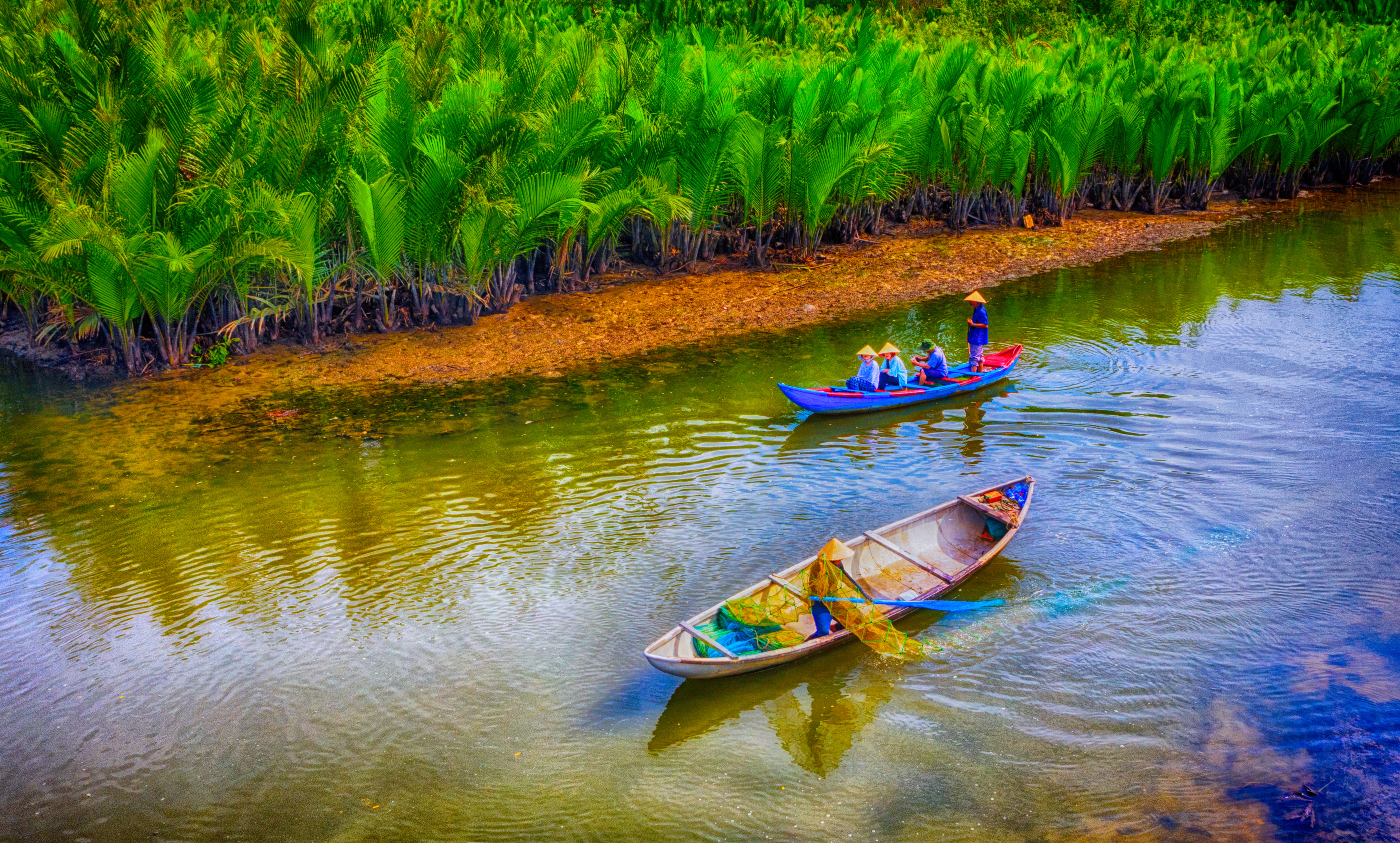 Rừng Dừa Nước